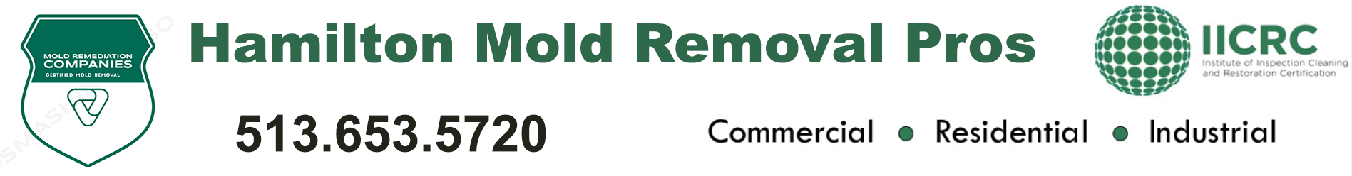 Hamilton Mold Removal Pros